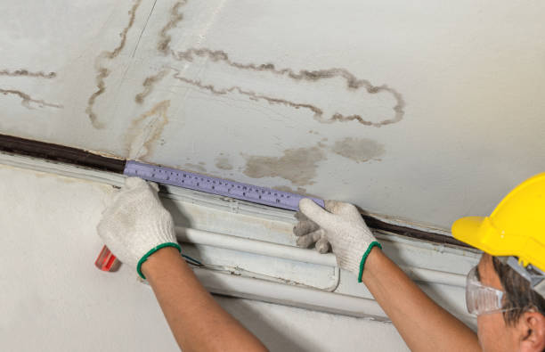 Reliable Burst Pipe Cleanup contractor in Cedar Knolls, NJ by Water Damage Irwin